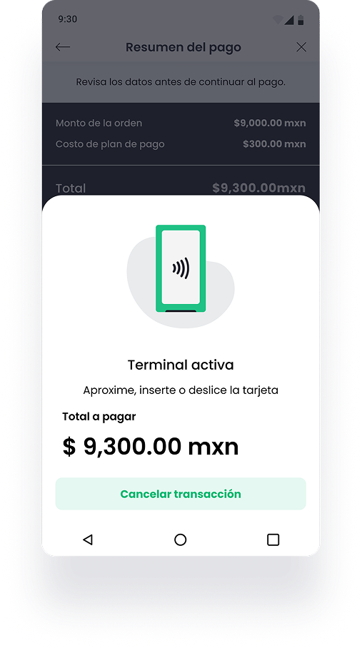App POS — Resumen del pago