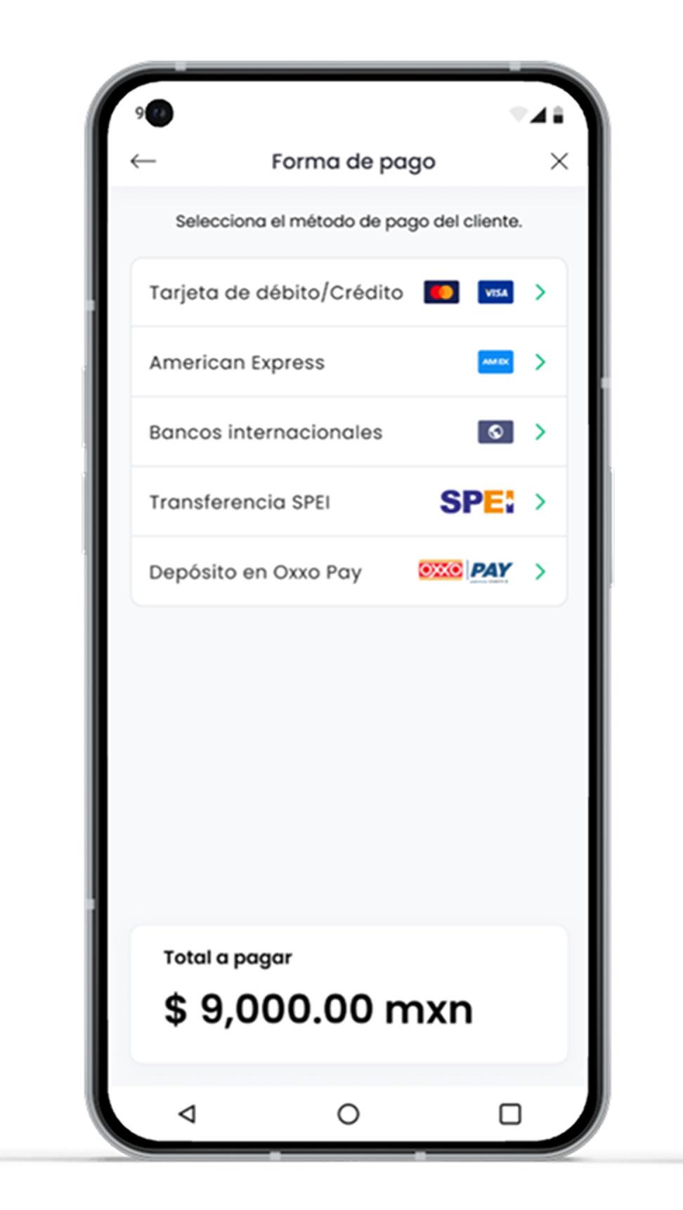 Automatización de pagos por WhatsApp